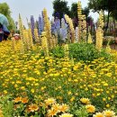 세븐일레븐 외동점 이미지