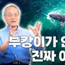 생태학자의 시선으로 본 부캉이 | 최재천의 아마존 이미지