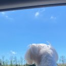 스테이모슬 이미지