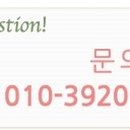 팡팡라인댄스 이미지