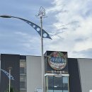 싱싱물회 이미지