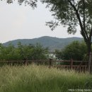 상록공원 게이트볼장 이미지