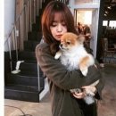 시크릿노래클럽