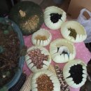 바보탱이 이미지