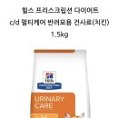 정원동물병원 | 9개월 아기 고양이 휴지의 방광염 치료 후기 울산 중구 리버동물의료센터 추천