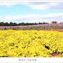 백야 이미지