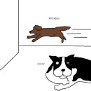 개밥도둑
