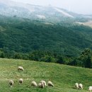 청아목장 이미지