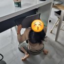 제발 평범한 사진 좀 찍어보자 이미지