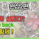 원삼. 솜양지꽃 복용법 정확한 정보 유래 사례 효과 이미지