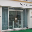 디어마이독 이미지