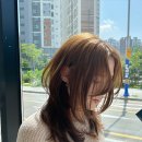 세렌디피티헤어 이미지