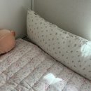 비블리 | 내돈내산 비비엔다 모달패드 밤비블리 후기