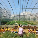 기쁨예능어린이집 이미지