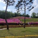 번개다방 이미지