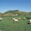 오름이야기 이미지