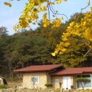 실로암2농장 이미지