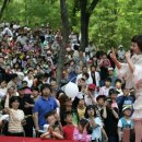 제8회 아카시아 벌꿀 축제(경북 칠곡 신동제) 이미지