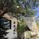 멍푸치노 | 수원 행궁동 애견동반카페 ‘공간상점’ 후기 (+멍푸치노 후기!)