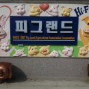 선규농장 Daum카페