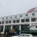 전라남도해양수산과학관 | 전남여수 실내가볼만한곳 미니 아쿠아리움 전라남도 해양수산과학관