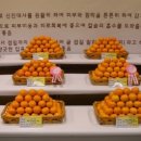 부부농원 이미지