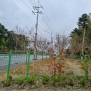 동방농장 이미지