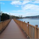 은파호수공원 이미지