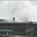 선인명과 이미지