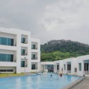 포항애견 이미지