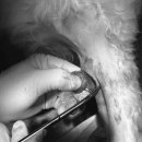 토곡동물병원 이미지