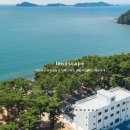 애봉이네 이미지