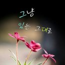 찬찬찬 이미지