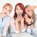 리얼엠(주) 엑스포츠뉴스