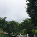 득량칼바위주차장 | 보성가볼만한곳-득량 해평호 둘레길 걷기