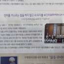 벌교태인 네이버블로그