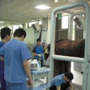 경마장가는길 이미지