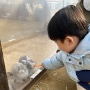 맘마농장 이미지