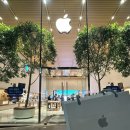 정품상사 | [아이폰17 PRO MAX 언박싱] 애플 가로수길 픽업/정품 투명 케이스 후기