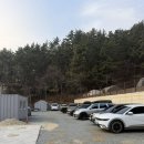 펫츠런파크 | 거제 애견동반캠핑장 "펫츠런파크" 보더콜리 마리와 다녀왔어요!