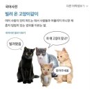 지금까지 너 없던 시간은 어둠이었죠🎶