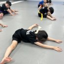 경희대청룡태권도 이미지