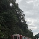 중앙로88번길 | 춘천)원조 숯불닭불고기집, joc젤라또,올데이스테이, 김유정 레일바이크 당일치기 코스추천1