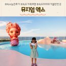 뮤지엄엑스 오아시스엑스 속초 미디어아트 오션뷰 카페 후기 (요금 및 주차장 안내)