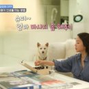 야무지니 이미지
