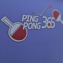 탁구(취미과정 / 야간) | 핑퐁365 무인탁구카페 정관점