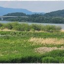 열린 행정사 사무소 이미지