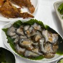 싱싱횟집 | 삼척 초곡항 영미네횟집 솔직후기🍲 싱싱함과 바다향이 가득한 맛집 탐방!