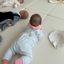 먹어봐요 냠냠책 | 전 이렇게 지내고 있어요..