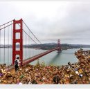 Golden Gate Bridge 이미지